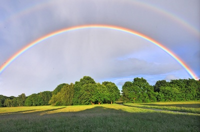 Regenbogen - Bund Gottes mit der Erde, den Menschen, den Tieren