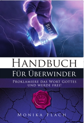 Handbuch für Überwinder von Monika Flach