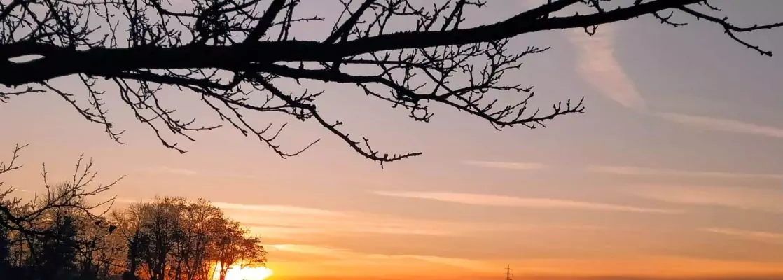 Gottes Prinzipien